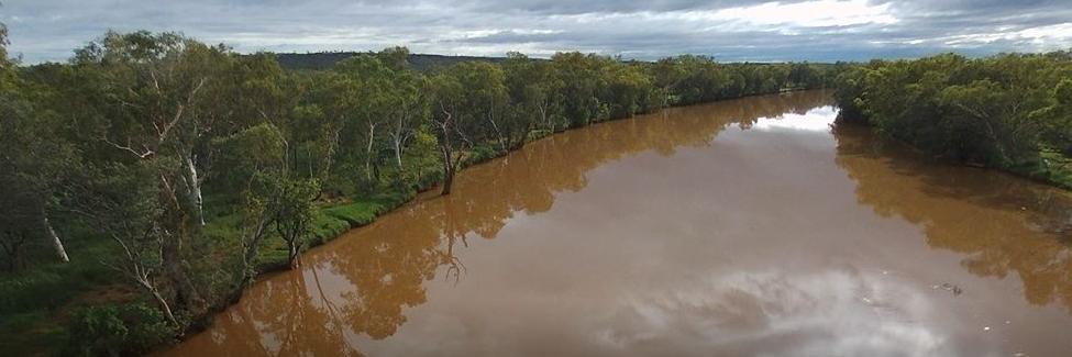 TechGoesRemote banner