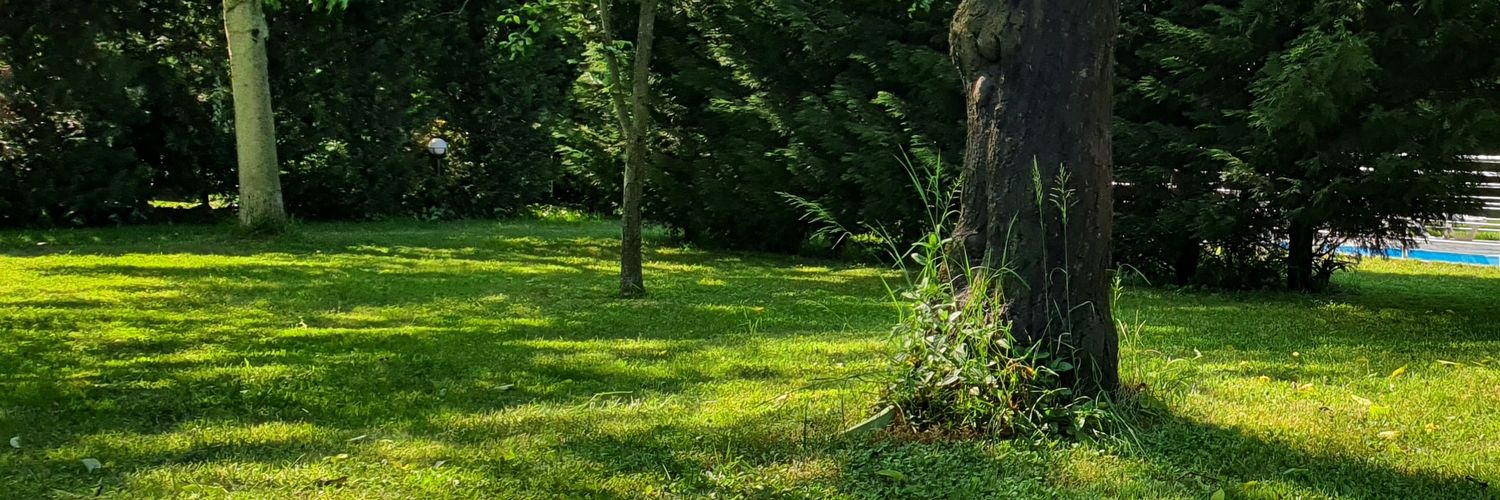 esrefus's profile banner image