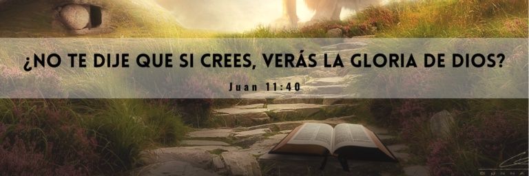 ProfetaSenia's profile banner image