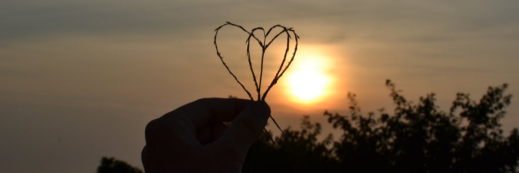 ai_1114's profile banner image