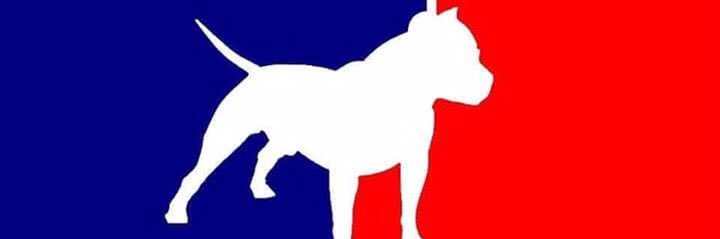 ToroBerrinches's profile banner image