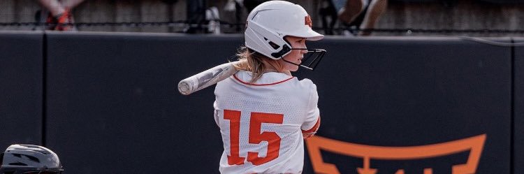 Wisco/Illinois SoftBALLERS - College/Travel & HS banner