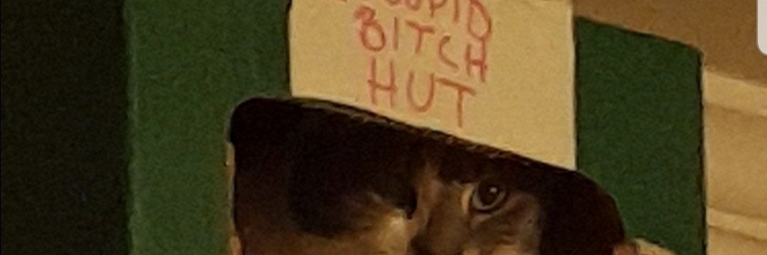 EricDePhillips's profile banner image