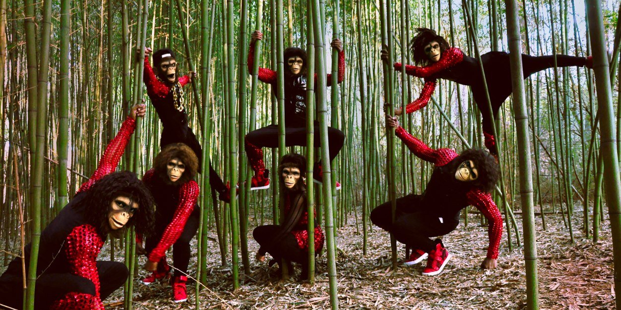 Jungle_Boogie's profile banner image