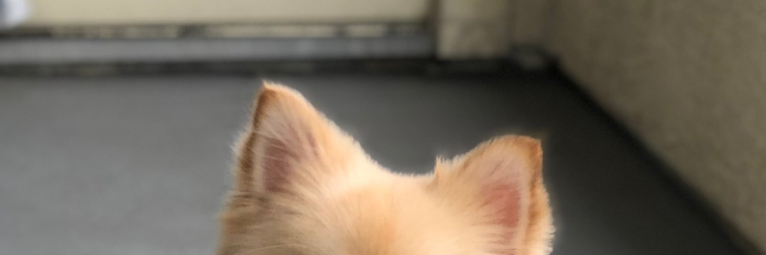 callmelarrynow's profile banner image
