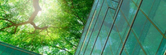 Alba Cabañas banner