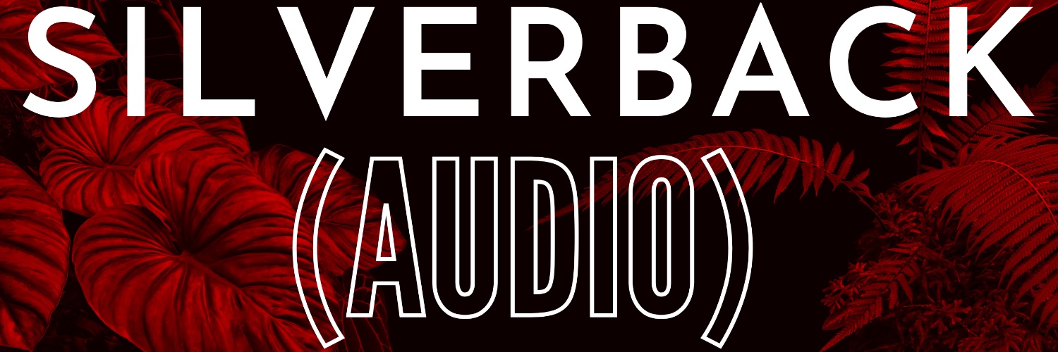 SilverbackAudio's profile banner image