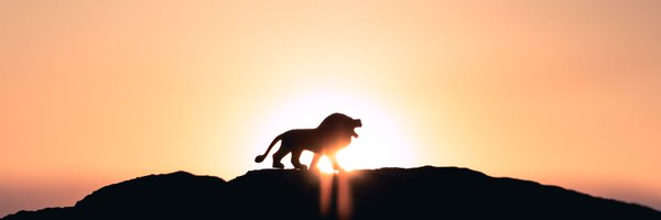 DeepIndabaX_ZA Profile Banner