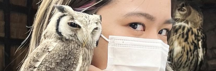 fujiicha's profile banner image