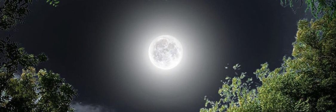 M_Moon7_'s profile banner image