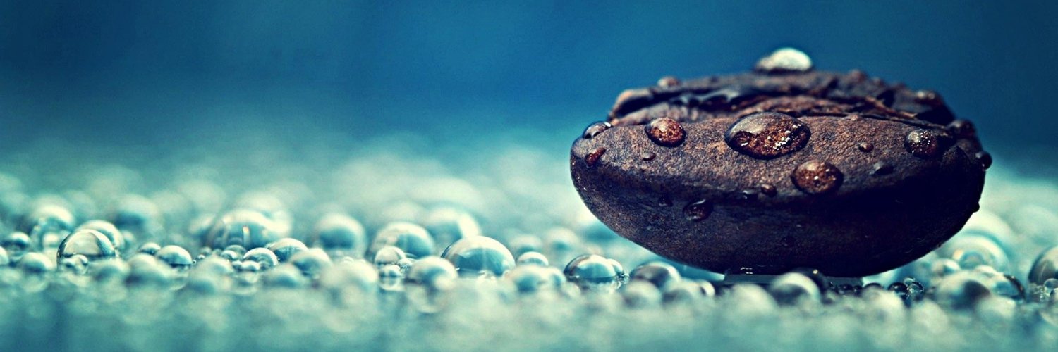 rapschess's profile banner image
