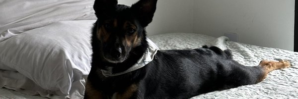 euchiacuna Profile Banner