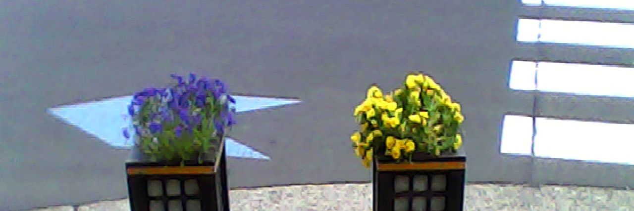 Chancheles2's profile banner image