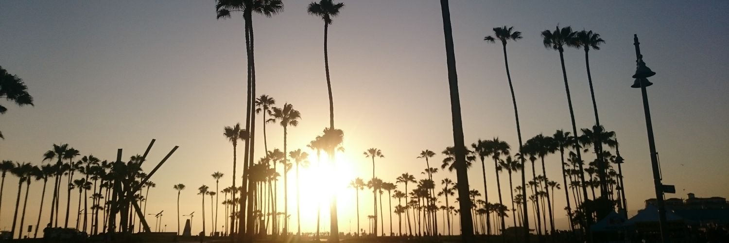SofiaDanes's profile banner image
