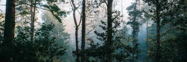 gregheo Profile Banner