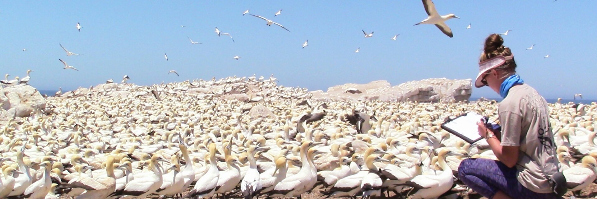 Zanri Strydom banner