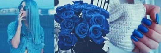 Alexia Chávez banner