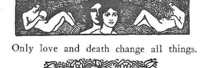 chicken joe🇱🇰 banner