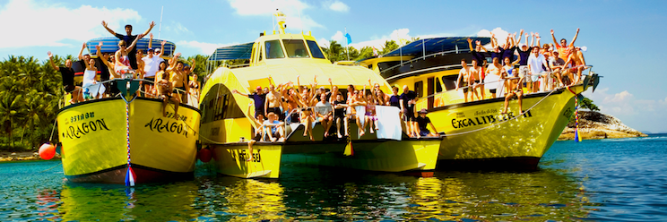 SeaBeesDiving's profile banner image