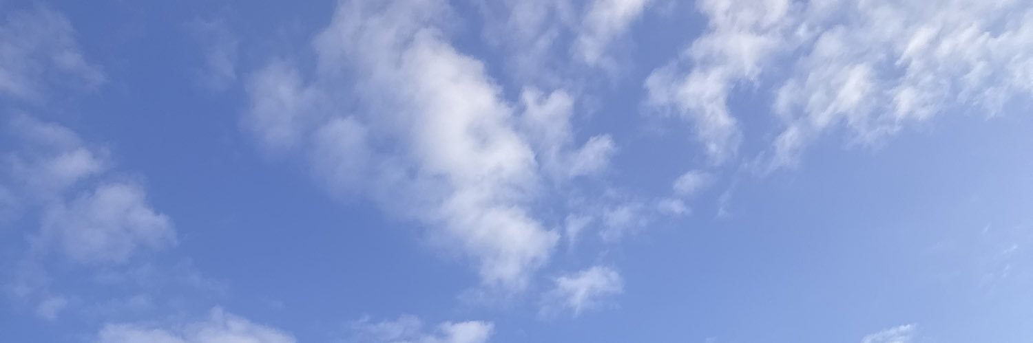 ogrivmai banner