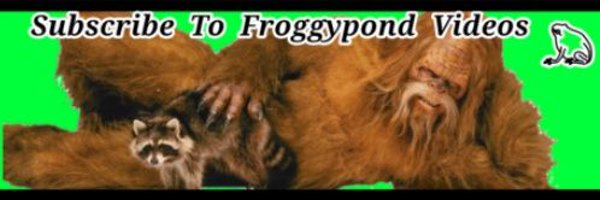 Froggypond Videos Profile Banner