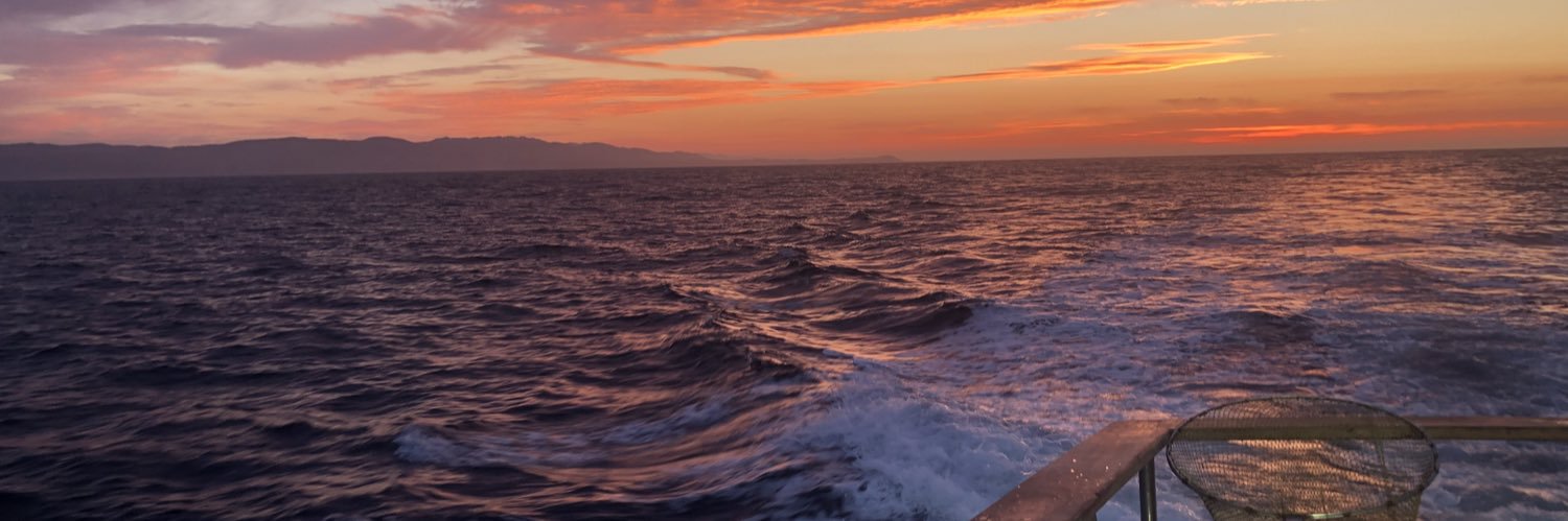 ampyles's profile banner image