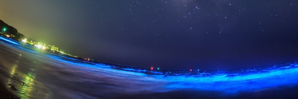 s3es3e1031's profile banner image