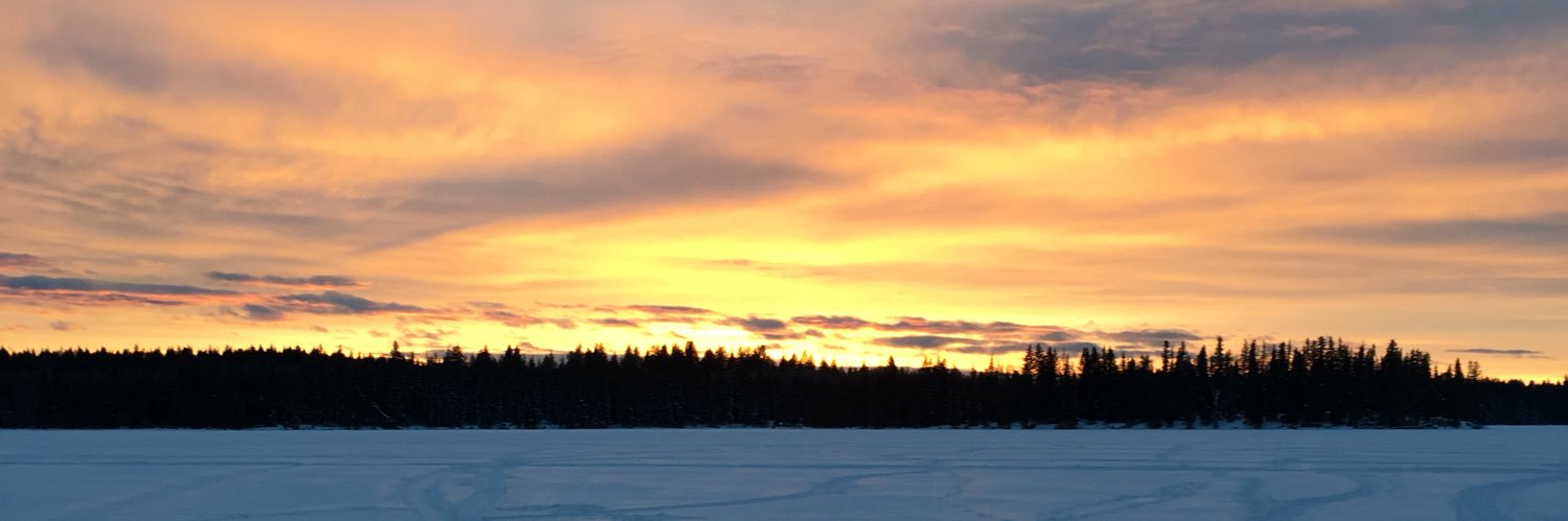 mfieuj's profile banner image