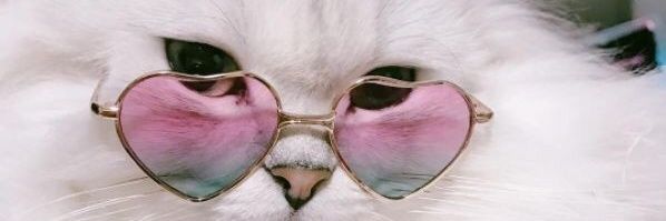 𝒟ℯ𝒿𝒶𝒱𝓊🥀. banner