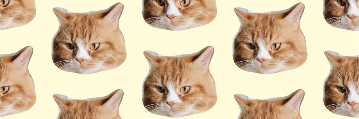 Focus :) banner