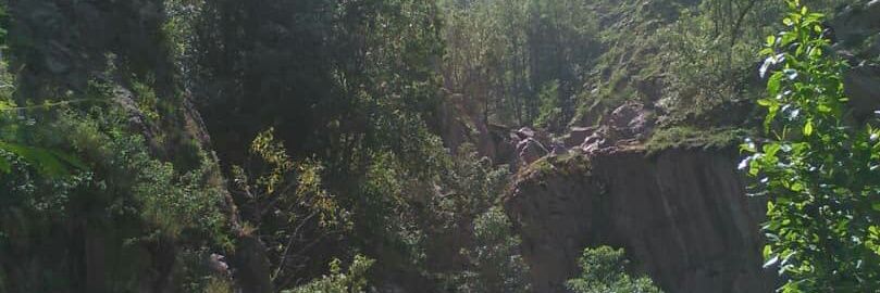 العصفورالصامت banner