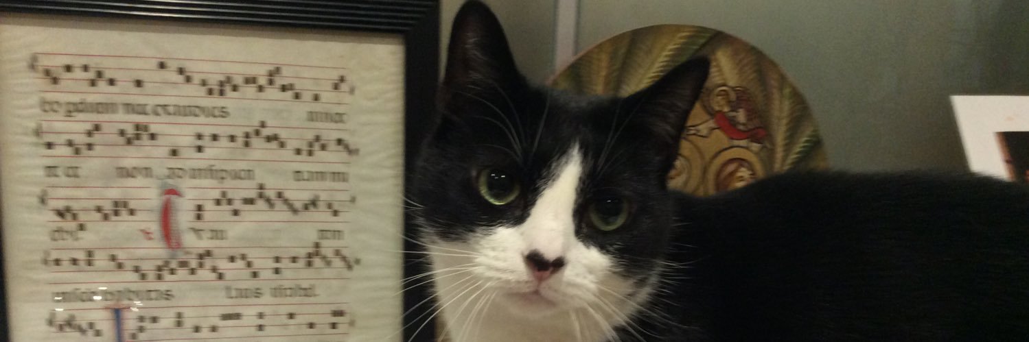 SPECR_cat's banner