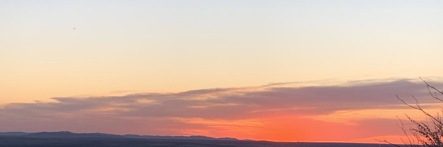 Sandru. banner