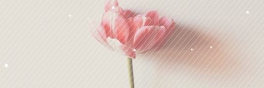 letareananda's profile banner image