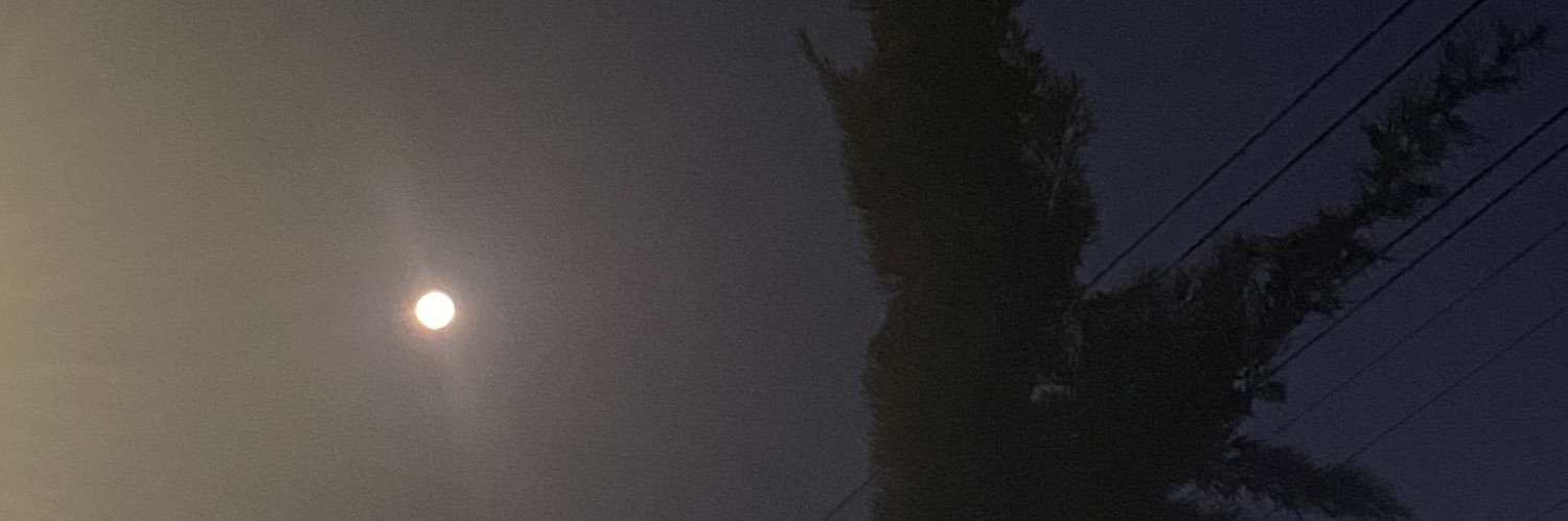 brve54's profile banner image