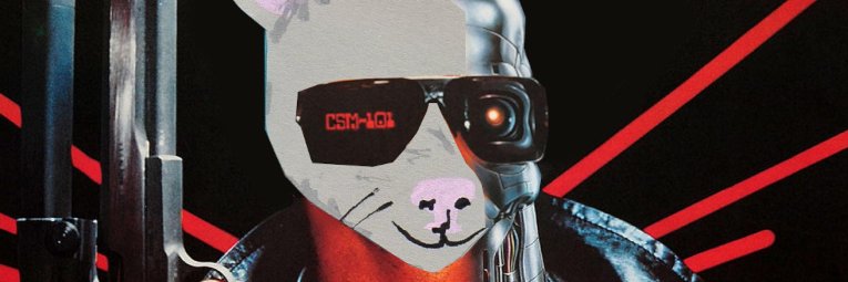 Indy Film Library banner