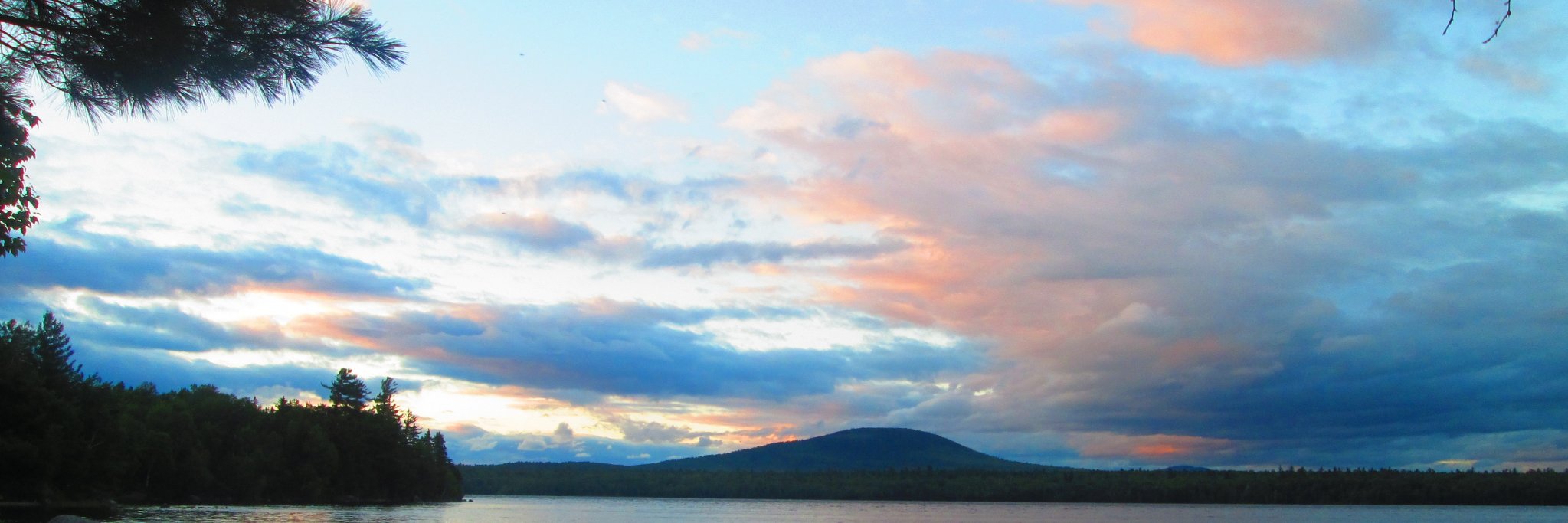 Ancient Path Naturals banner