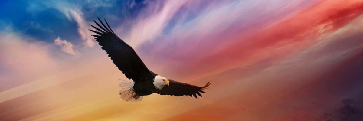 cato5104's profile banner image
