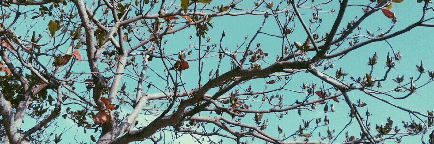 gomitzie's profile banner image