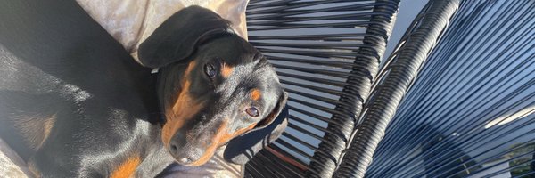 laurimperez__ Profile Banner