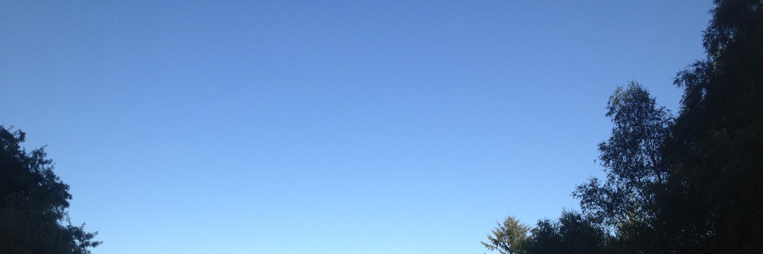 snow_day8's profile banner image
