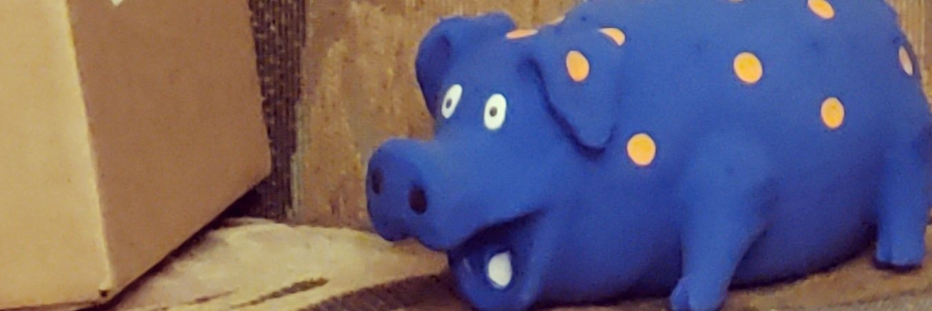 ZephyrBells's profile banner image