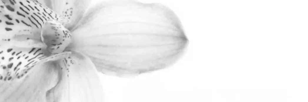 Juneplayss's profile banner image