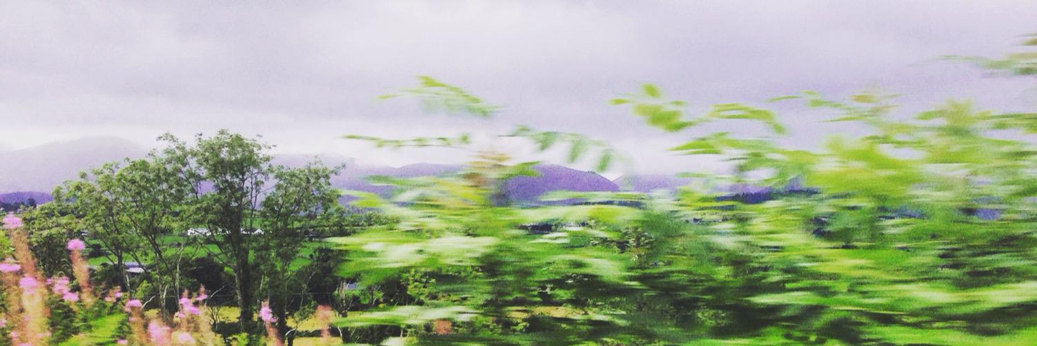 Billy_Kad's profile banner image