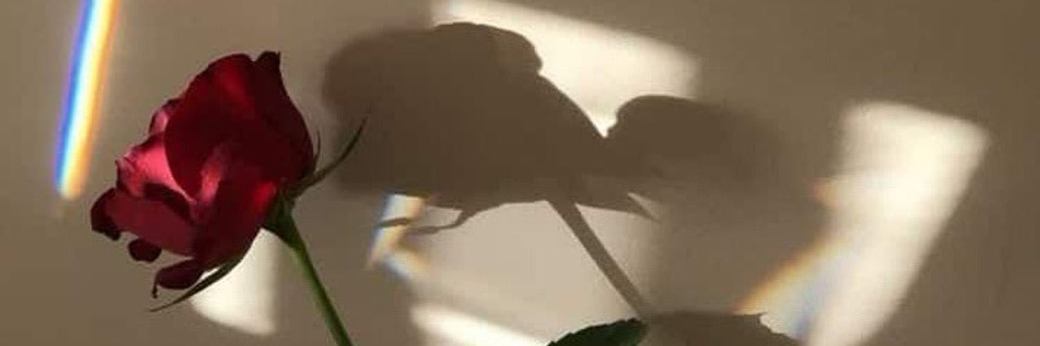LittleNicky26's profile banner image