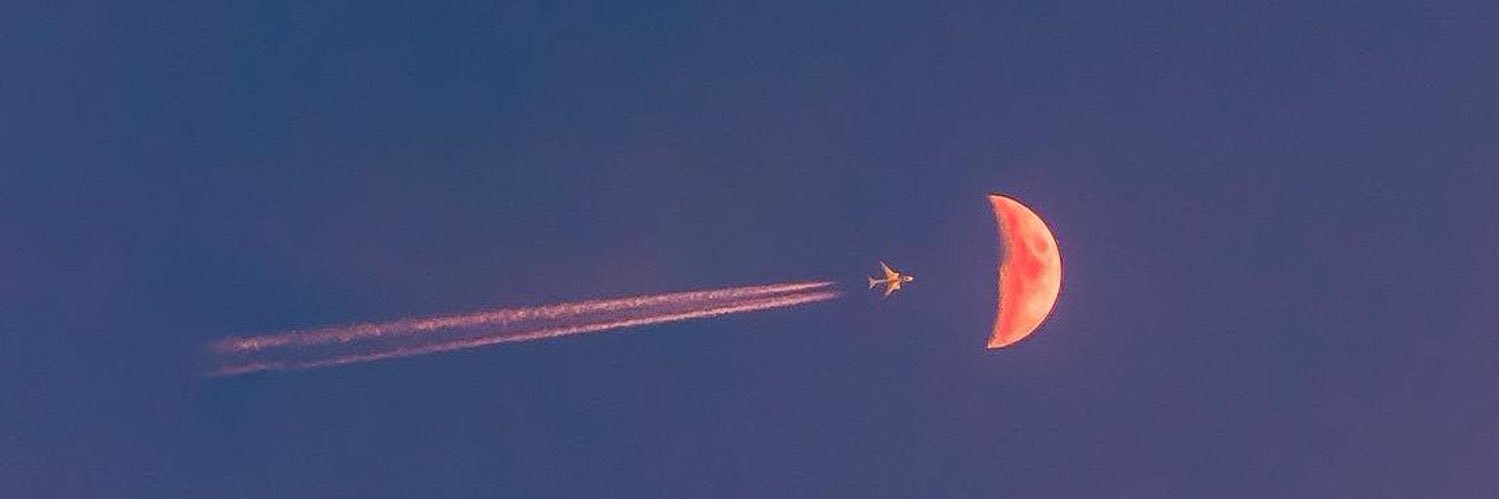 conigsianferoni's profile banner image