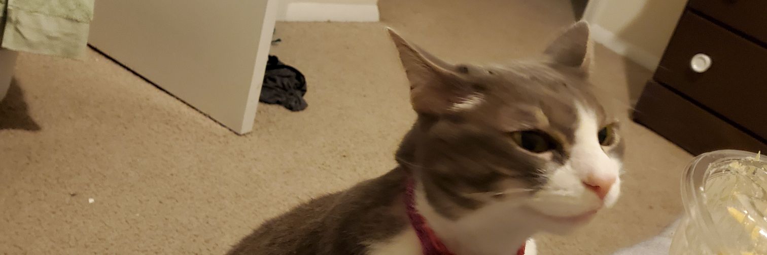 Sydney & Cookie banner