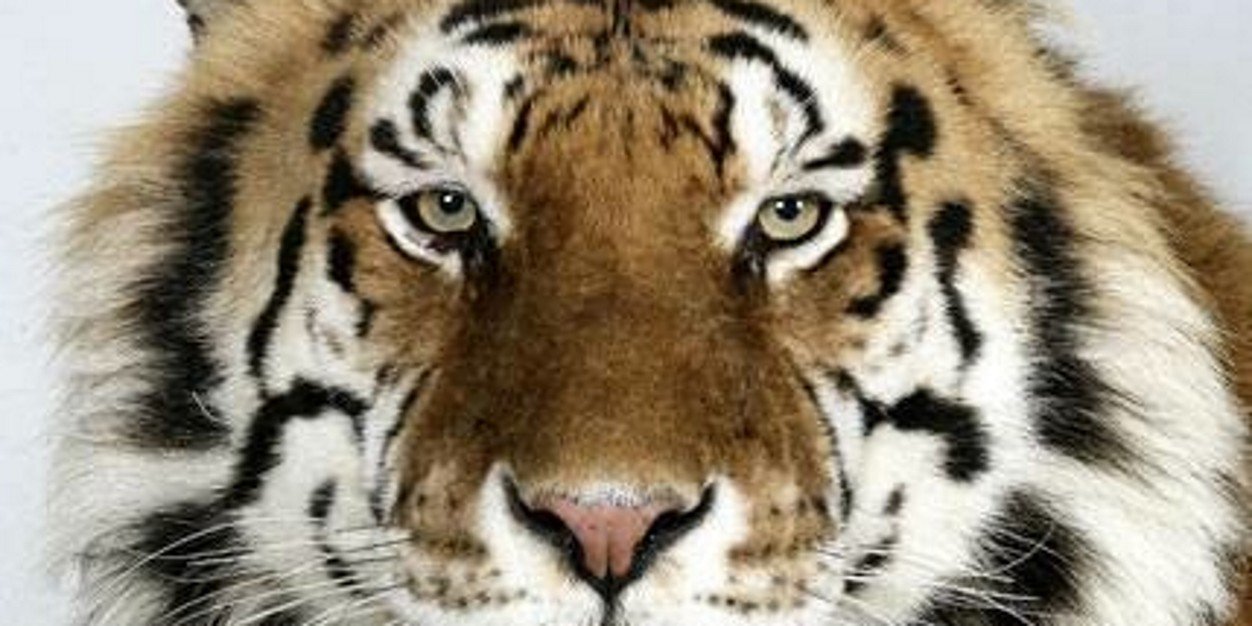 mannukibaat's profile banner image