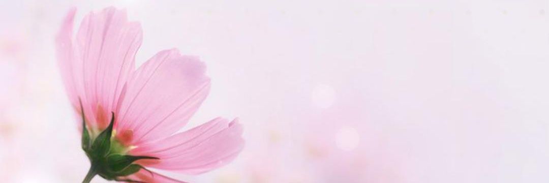 EndangRobsten's profile banner image