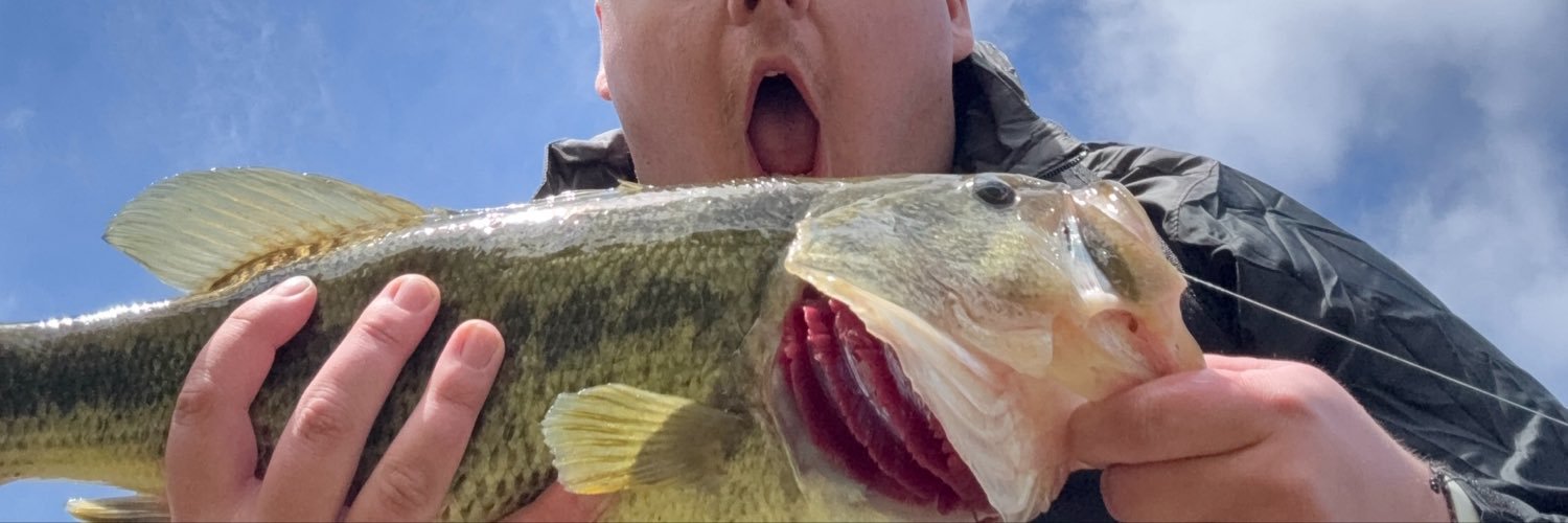DaaaGooose's profile banner image